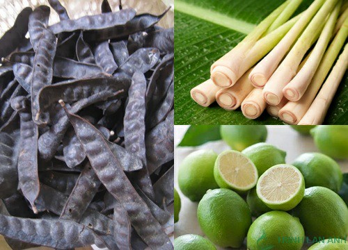 Điều Trị Rụng Tóc Bằng Phương Pháp Tự Nhiên Tại Nhà
