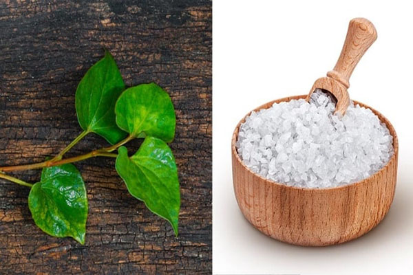 cách làm trắng da bằng rau diếp cá đơn giản mà hiệu quả